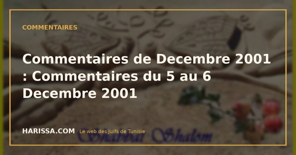 Commentaires de Decembre 2001 : Commentaires du 5 au 6 Decembre 2001