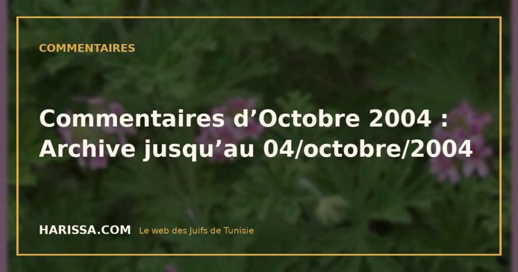 Commentaires d’Octobre 2004 : Archive jusqu’au 04/octobre/2004