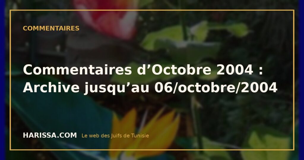 Commentaires d’Octobre 2004 : Archive jusqu’au 06/octobre/2004