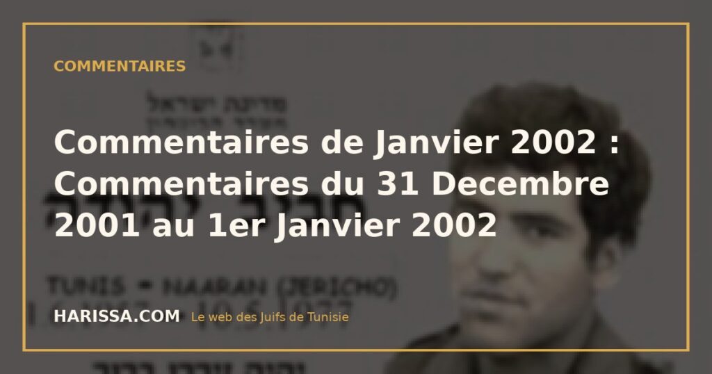 Commentaires de Janvier 2002 : Commentaires du 31 Decembre 2001 au 1er Janvier 2002
