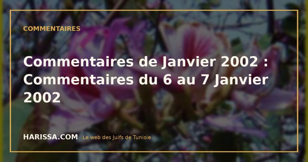 Commentaires de Janvier 2002 : Commentaires du 6 au 7 Janvier 2002
