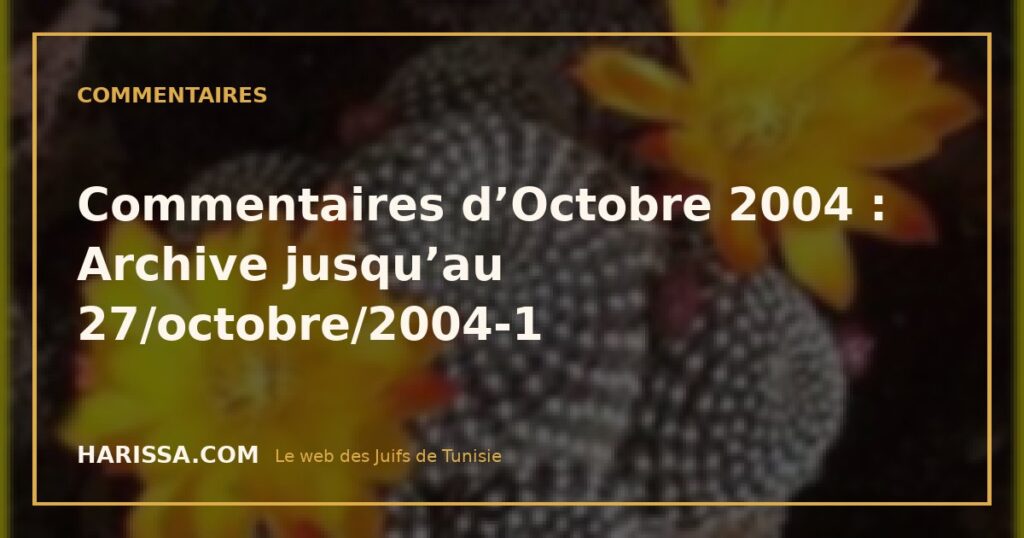 Commentaires d’Octobre 2004 : Archive jusqu’au 27/octobre/2004-1