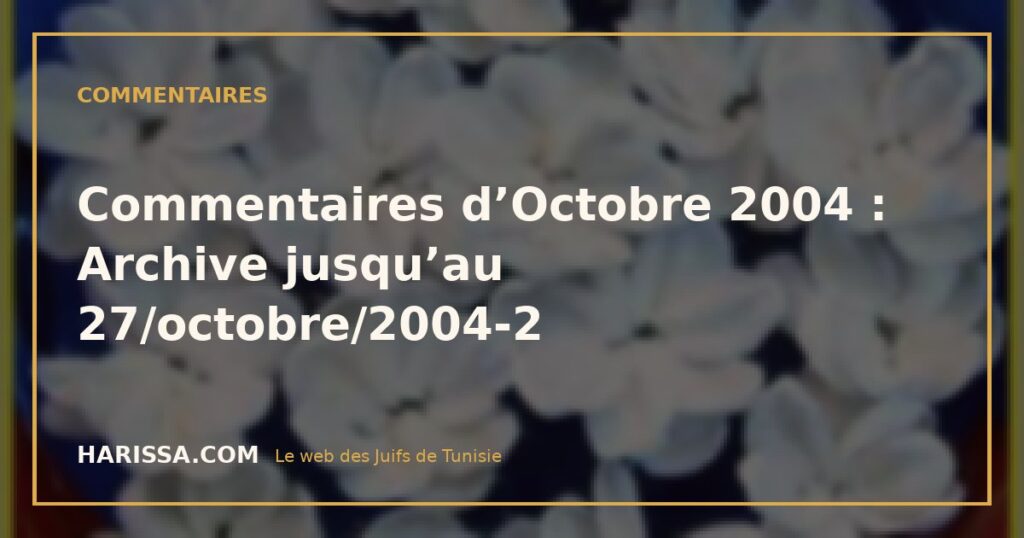 Commentaires d’Octobre 2004 : Archive jusqu’au 27/octobre/2004-2