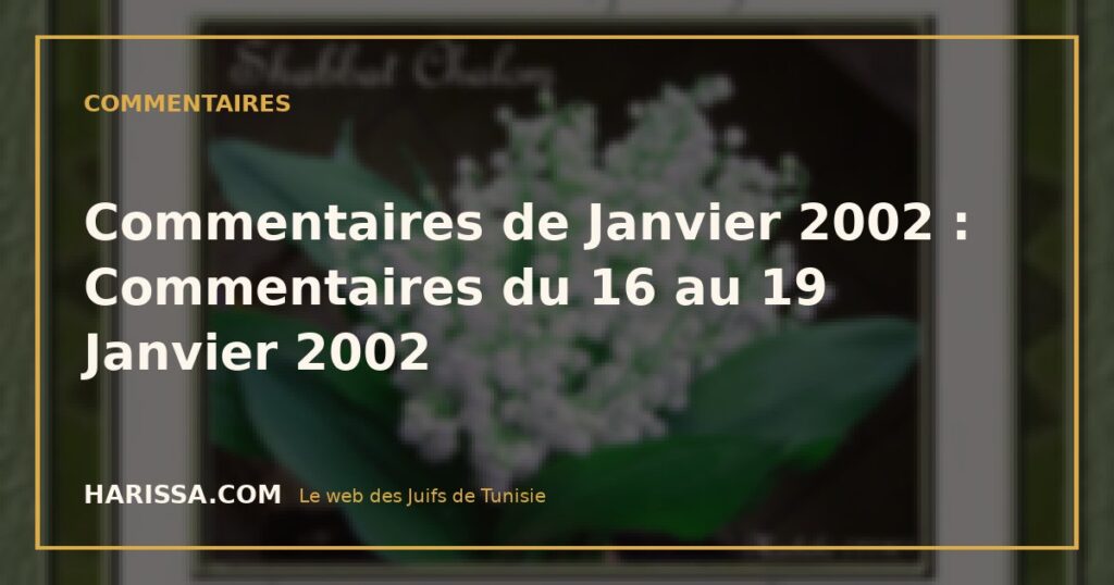 Commentaires de Janvier 2002 : Commentaires du 16 au 19 Janvier 2002