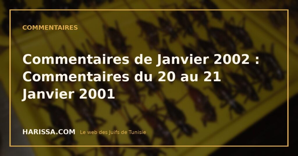 Commentaires de Janvier 2002 : Commentaires du 20 au 21 Janvier 2001
