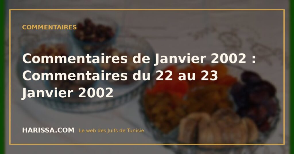 Commentaires de Janvier 2002 : Commentaires du 22 au 23 Janvier 2002