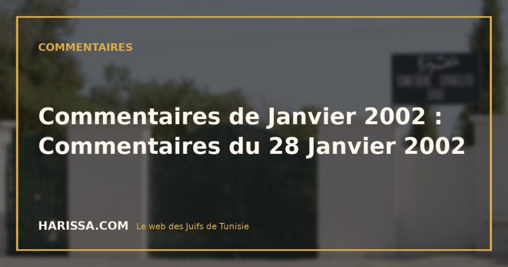 Commentaires de Janvier 2002 : Commentaires du 28 Janvier 2002