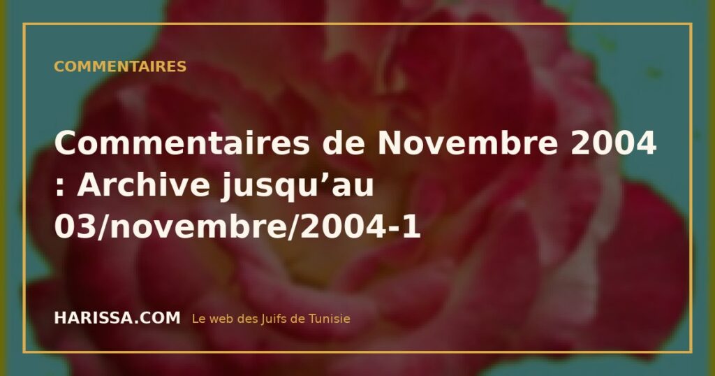 Commentaires de Novembre 2004 : Archive jusqu’au 03/novembre/2004-1