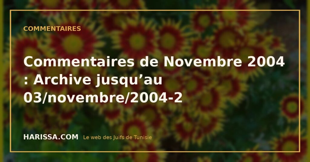 Commentaires de Novembre 2004 : Archive jusqu’au 03/novembre/2004-2