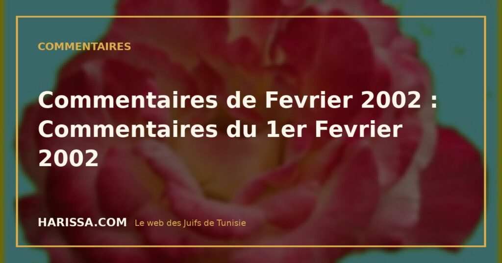 Commentaires de Fevrier 2002 : Commentaires du 1er Fevrier 2002