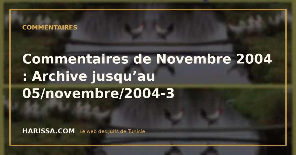 Commentaires de Novembre 2004 : Archive jusqu’au 05/novembre/2004-3