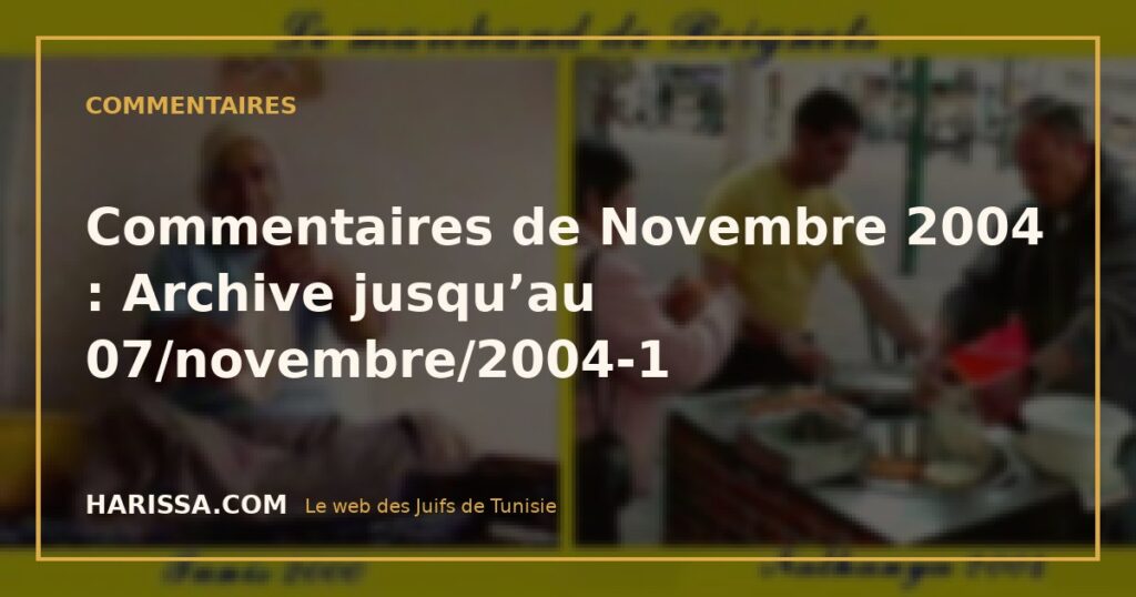 Commentaires de Novembre 2004 : Archive jusqu’au 07/novembre/2004-1
