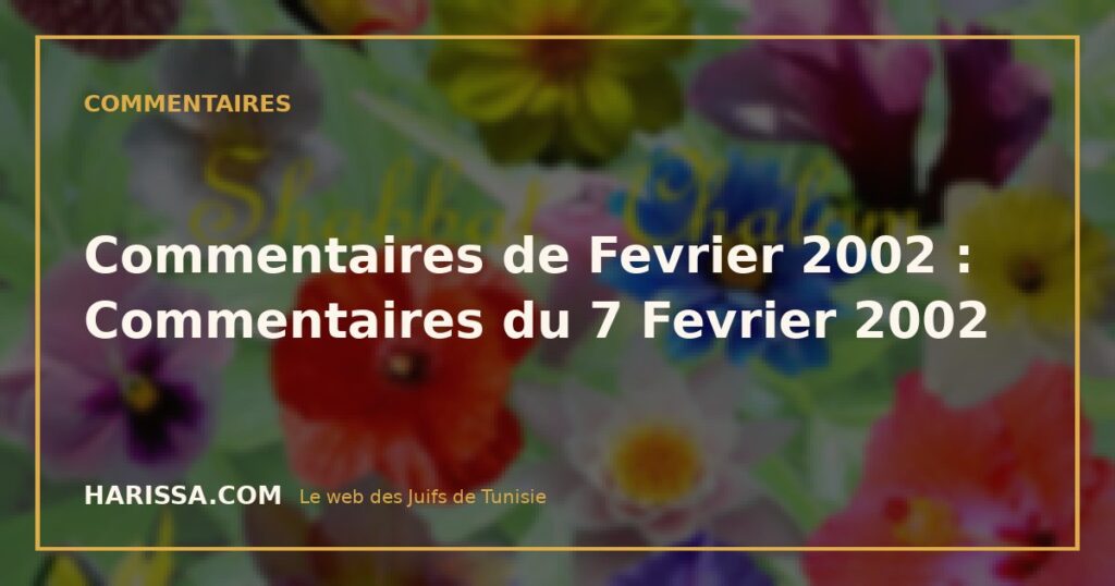 Commentaires de Fevrier 2002 : Commentaires du 7 Fevrier 2002