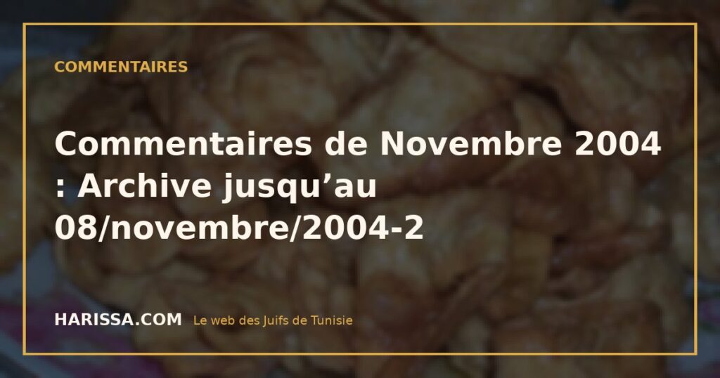 Commentaires de Novembre 2004 : Archive jusqu’au 08/novembre/2004-2
