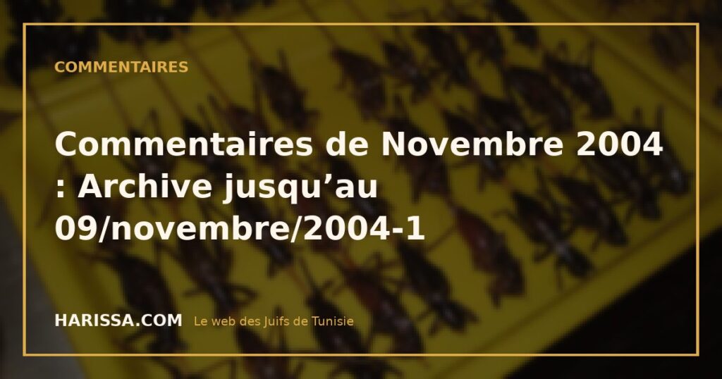 Commentaires de Novembre 2004 : Archive jusqu’au 09/novembre/2004-1