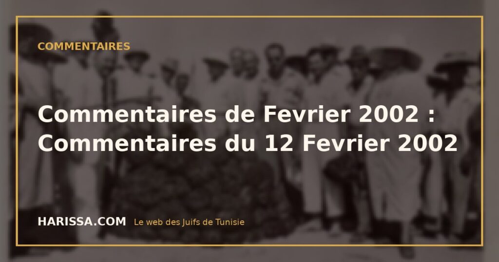 Commentaires de Fevrier 2002 : Commentaires du 12 Fevrier 2002