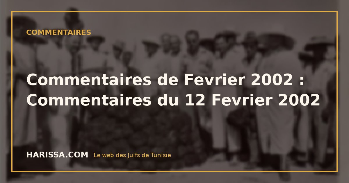 Commentaires de Fevrier 2002 : Commentaires du 12 Fevrier 2002