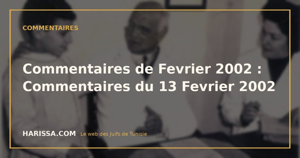 Commentaires de Fevrier 2002 : Commentaires du 13 Fevrier 2002