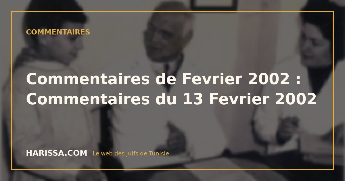 Commentaires de Fevrier 2002 : Commentaires du 13 Fevrier 2002