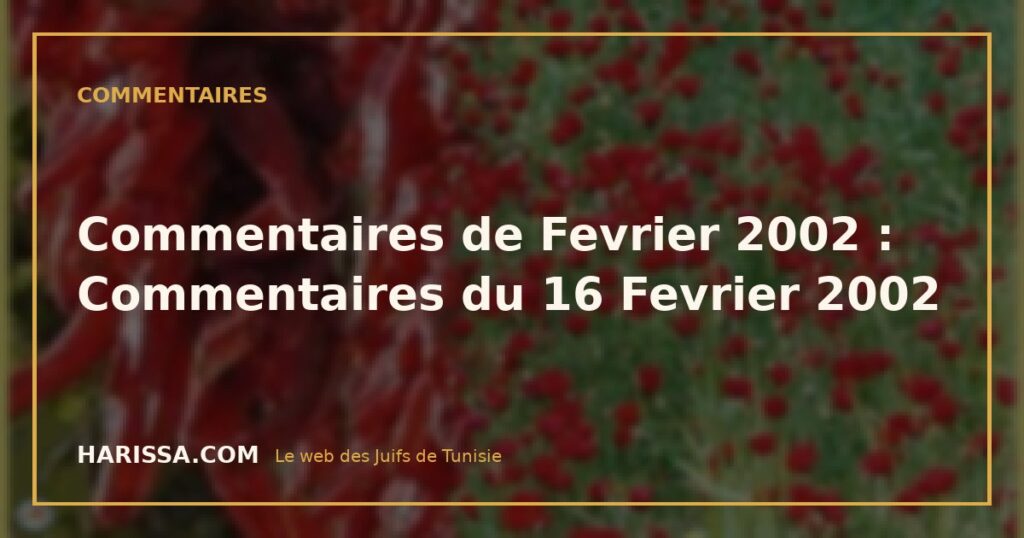 Commentaires de Fevrier 2002 : Commentaires du 16 Fevrier 2002