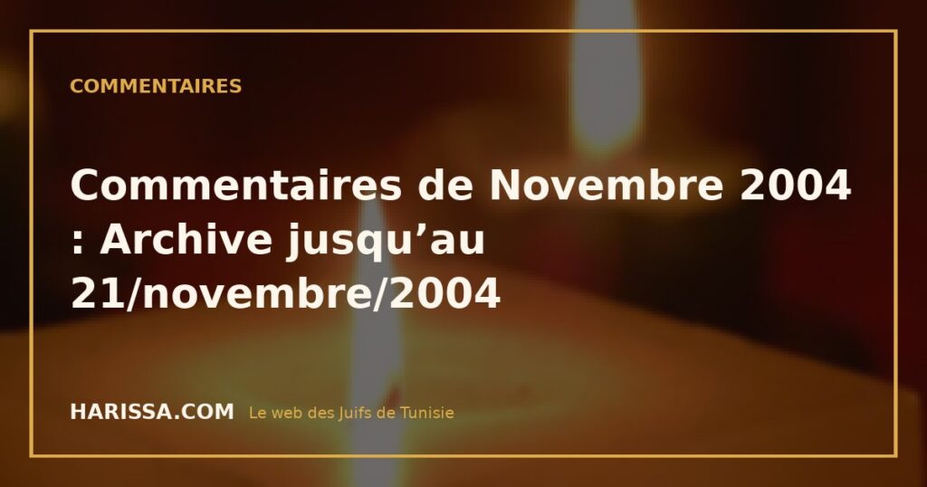 Commentaires de Novembre 2004 : Archive jusqu’au 21/novembre/2004