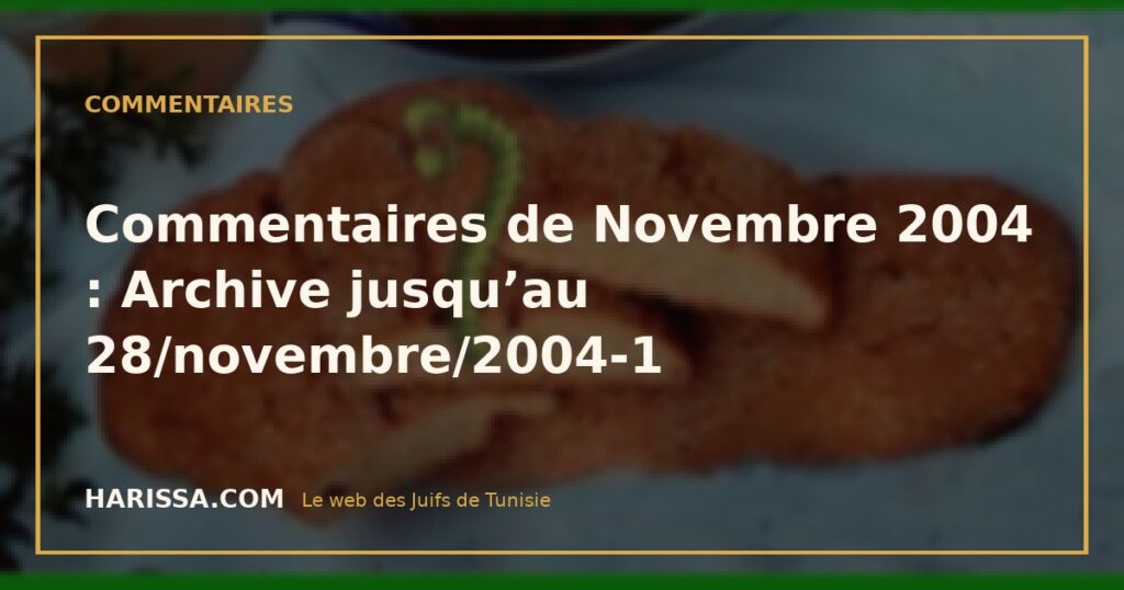 Commentaires de Novembre 2004 : Archive jusqu’au 28/novembre/2004-1