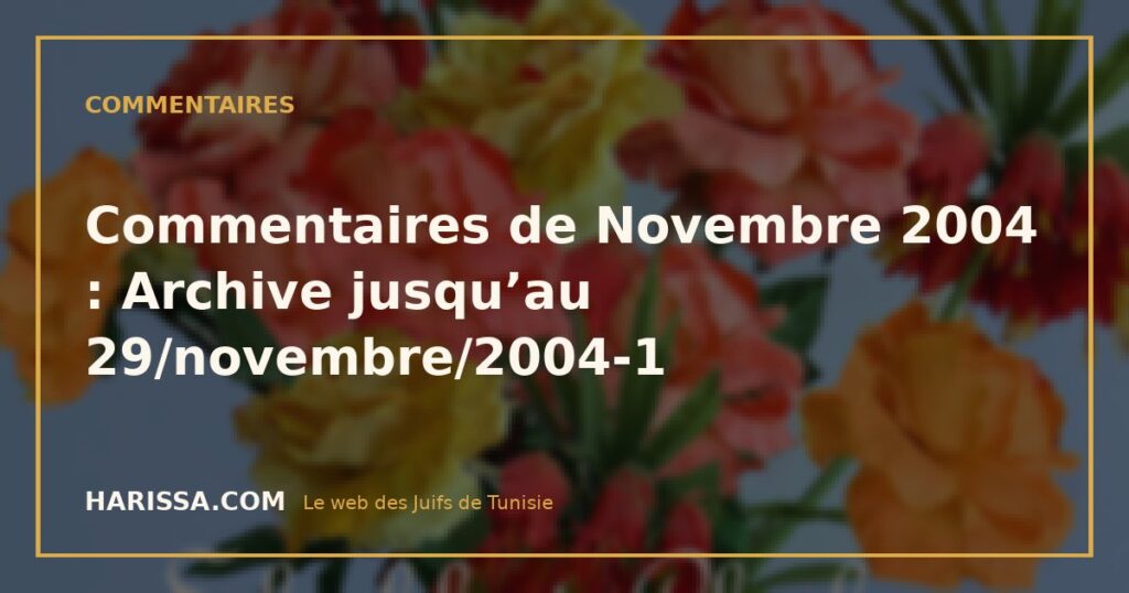 Commentaires de Novembre 2004 : Archive jusqu’au 29/novembre/2004-1