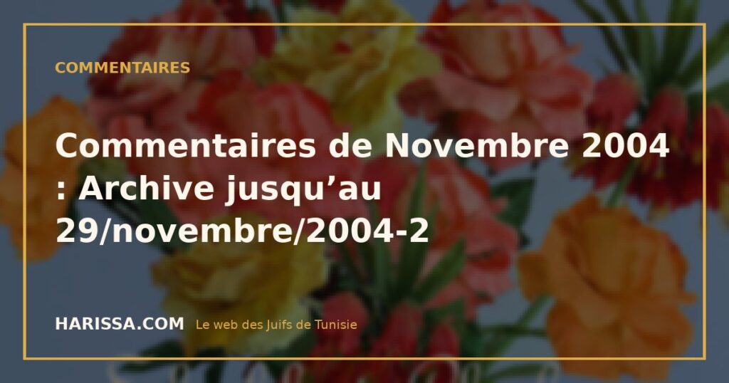 Commentaires de Novembre 2004 : Archive jusqu’au 29/novembre/2004-2