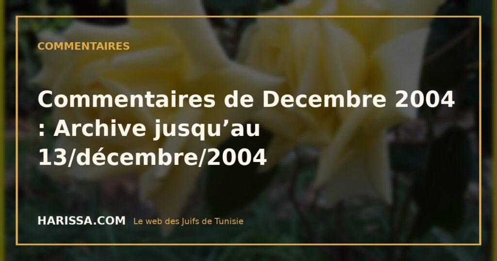 Commentaires de Decembre 2004 : Archive jusqu’au 13/décembre/2004