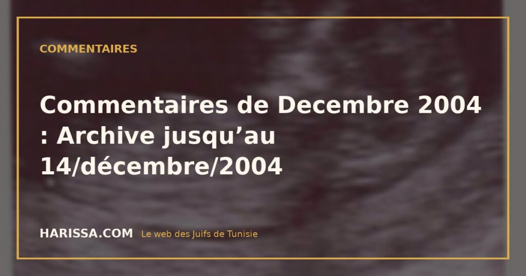 Commentaires de Decembre 2004 : Archive jusqu’au 14/décembre/2004