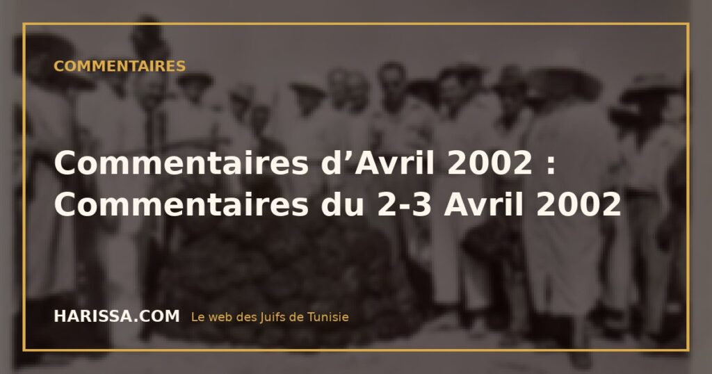 Commentaires d’Avril 2002 : Commentaires du 2-3 Avril 2002