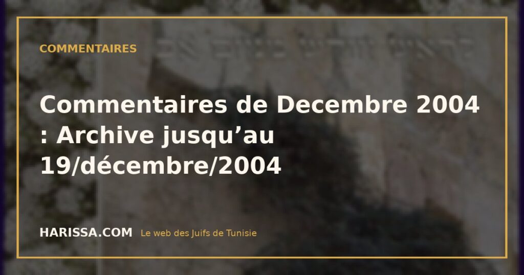 Commentaires de Decembre 2004 : Archive jusqu’au 19/décembre/2004