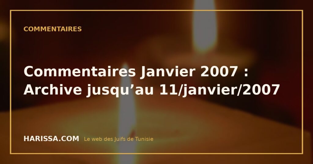 Commentaires Janvier 2007 : Archive jusqu’au 11/janvier/2007