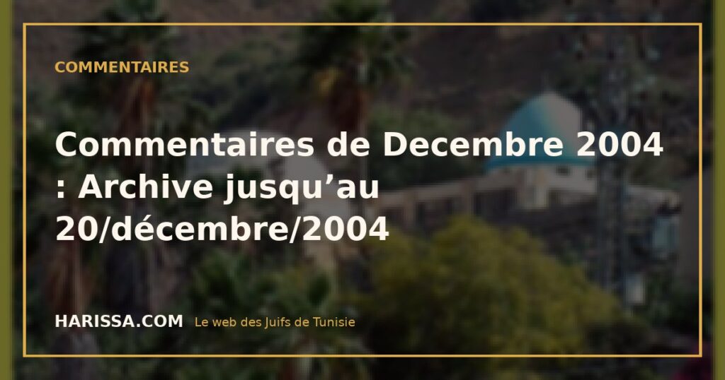 Commentaires de Decembre 2004 : Archive jusqu’au 20/décembre/2004