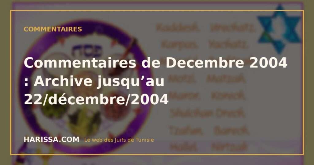 Commentaires de Decembre 2004 : Archive jusqu’au 22/décembre/2004