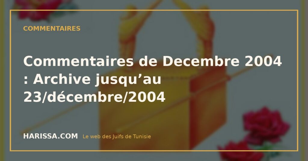 Commentaires de Decembre 2004 : Archive jusqu’au 23/décembre/2004