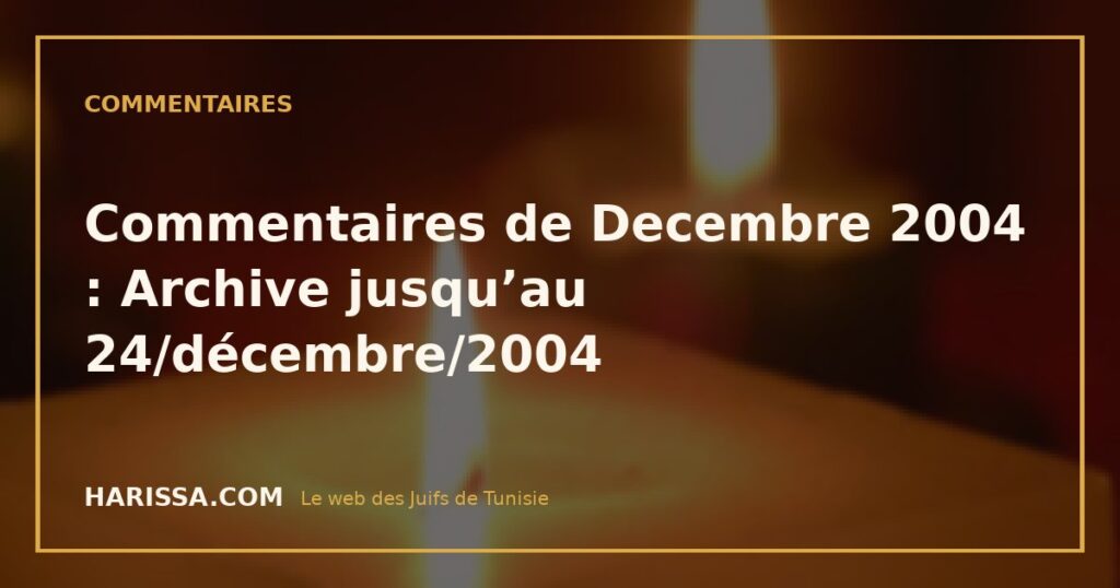 Commentaires de Decembre 2004 : Archive jusqu’au 24/décembre/2004