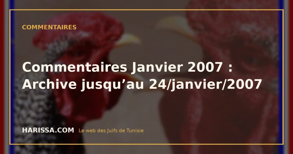 Commentaires Janvier 2007 : Archive jusqu’au 24/janvier/2007