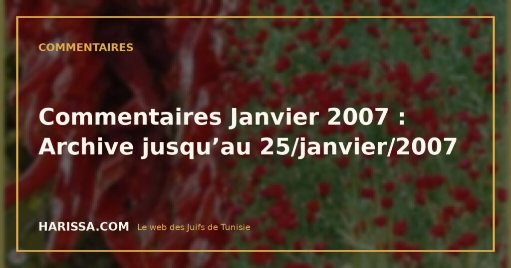 Commentaires Janvier 2007 : Archive jusqu’au 25/janvier/2007