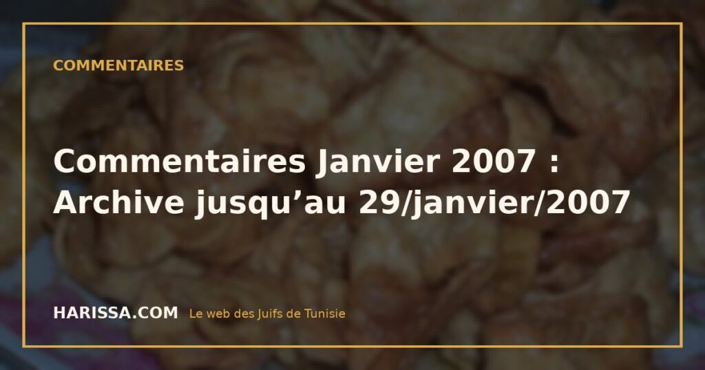 Commentaires Janvier 2007 : Archive jusqu’au 29/janvier/2007