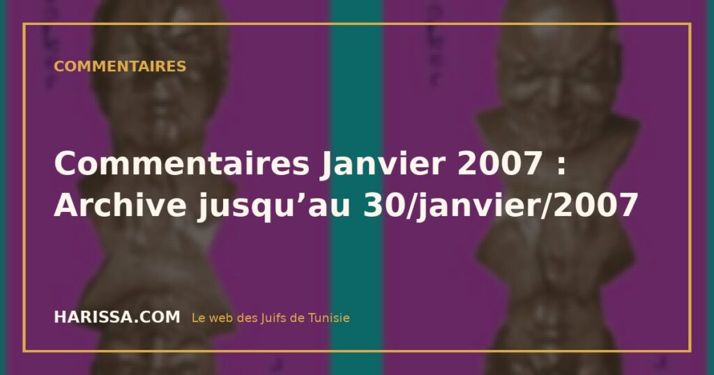 Commentaires Janvier 2007 : Archive jusqu’au 30/janvier/2007