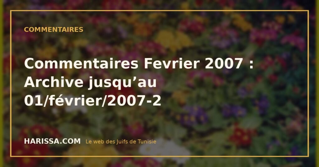 Commentaires Fevrier 2007 : Archive jusqu’au 01/février/2007-2