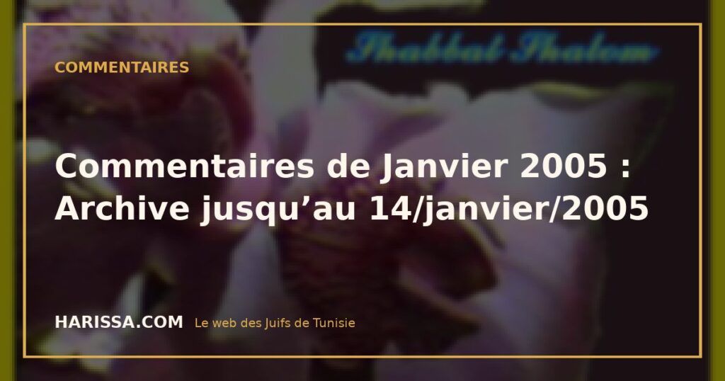Commentaires de Janvier 2005 : Archive jusqu’au 14/janvier/2005