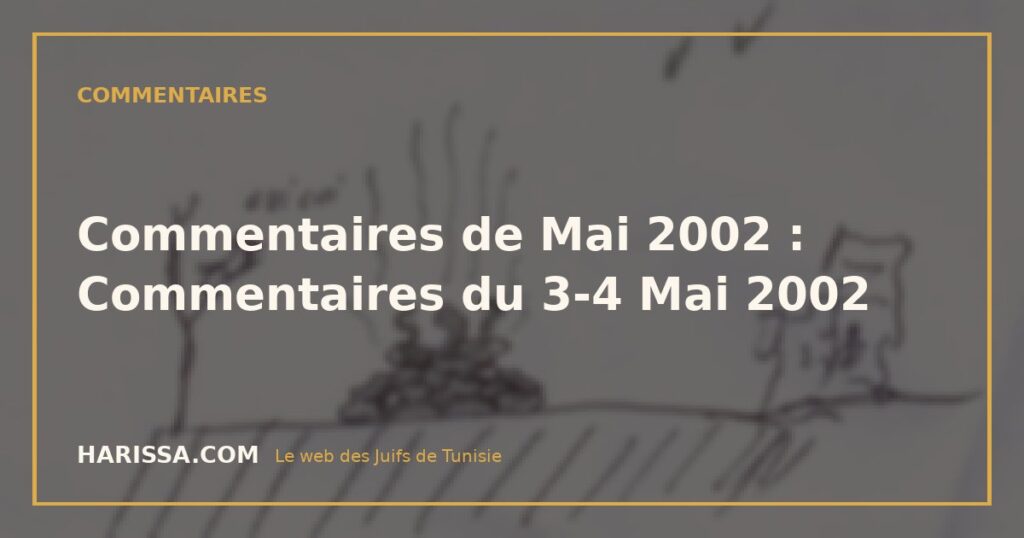 Commentaires de Mai 2002 : Commentaires du 3-4 Mai 2002