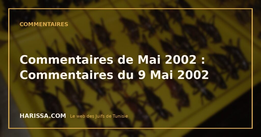Commentaires de Mai 2002 : Commentaires du 9 Mai 2002