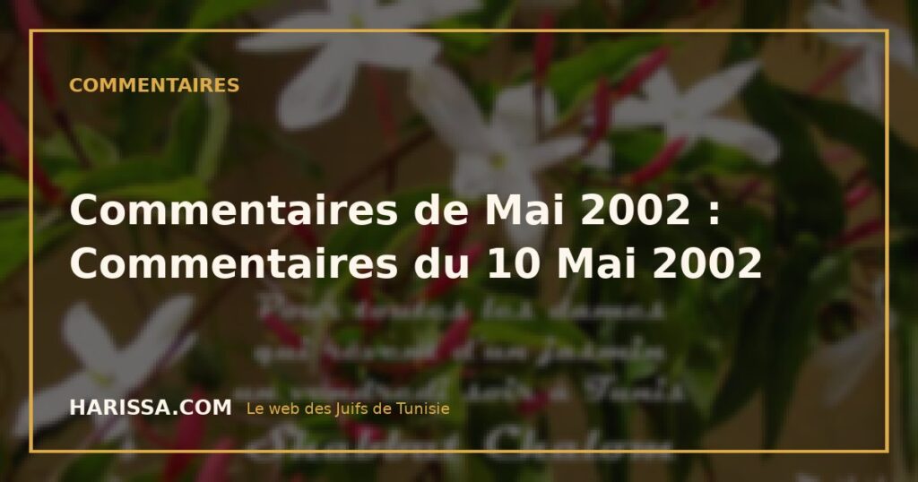 Commentaires de Mai 2002 : Commentaires du 10 Mai 2002