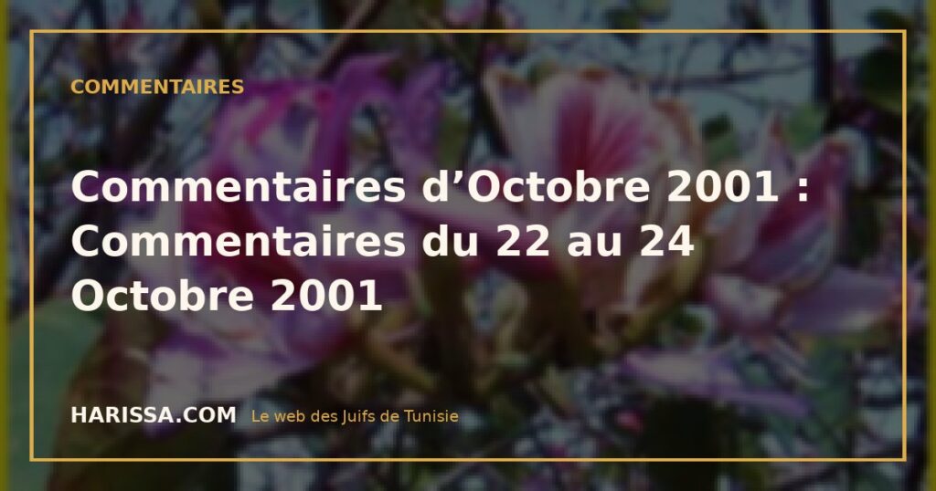 Commentaires d’Octobre 2001 : Commentaires du 22 au 24 Octobre 2001