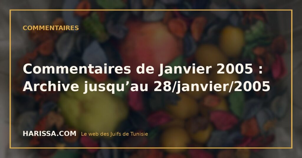 Commentaires de Janvier 2005 : Archive jusqu’au 28/janvier/2005