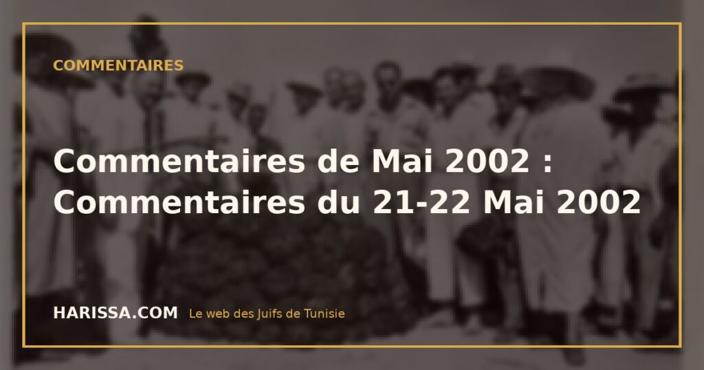Commentaires de Mai 2002 : Commentaires du 21-22 Mai 2002