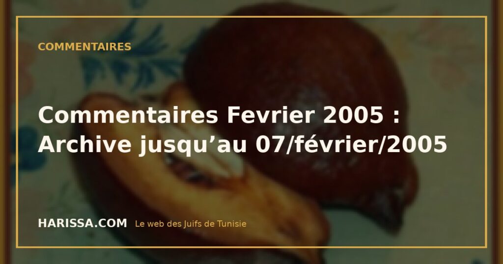 Commentaires Fevrier 2005 : Archive jusqu’au 07/février/2005